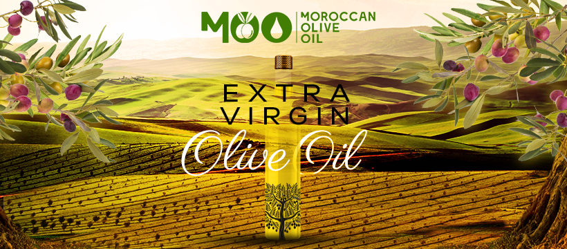 Moroccan Olive Oil Varieties