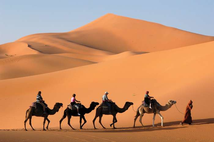 A Berber camel herder riding a camel through the endless dunes of the Sahara Desert