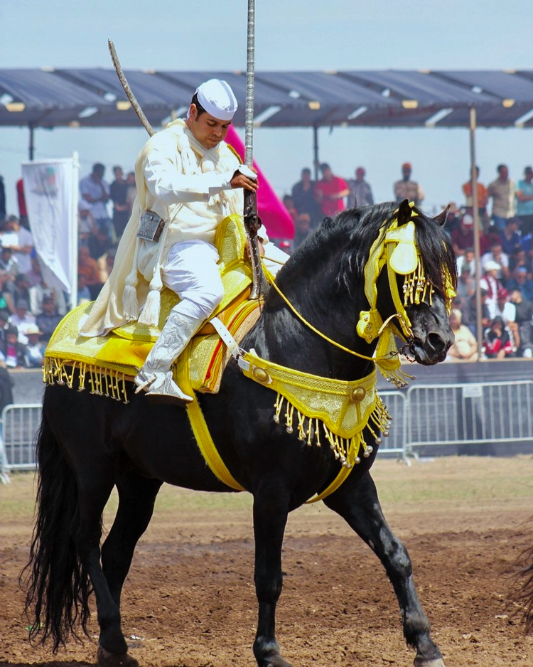 A group of Moroccan horsemen, dressed in traditional attire, riding horses in unison during a Tbourida performance