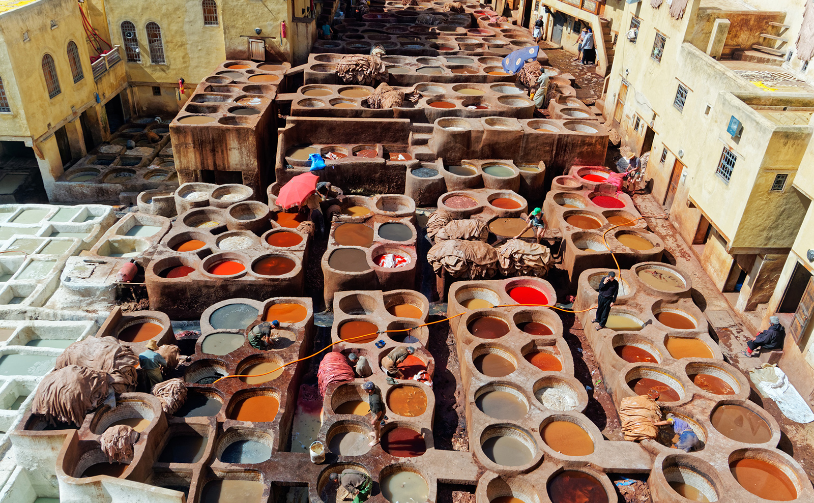 Leather Tanning Process