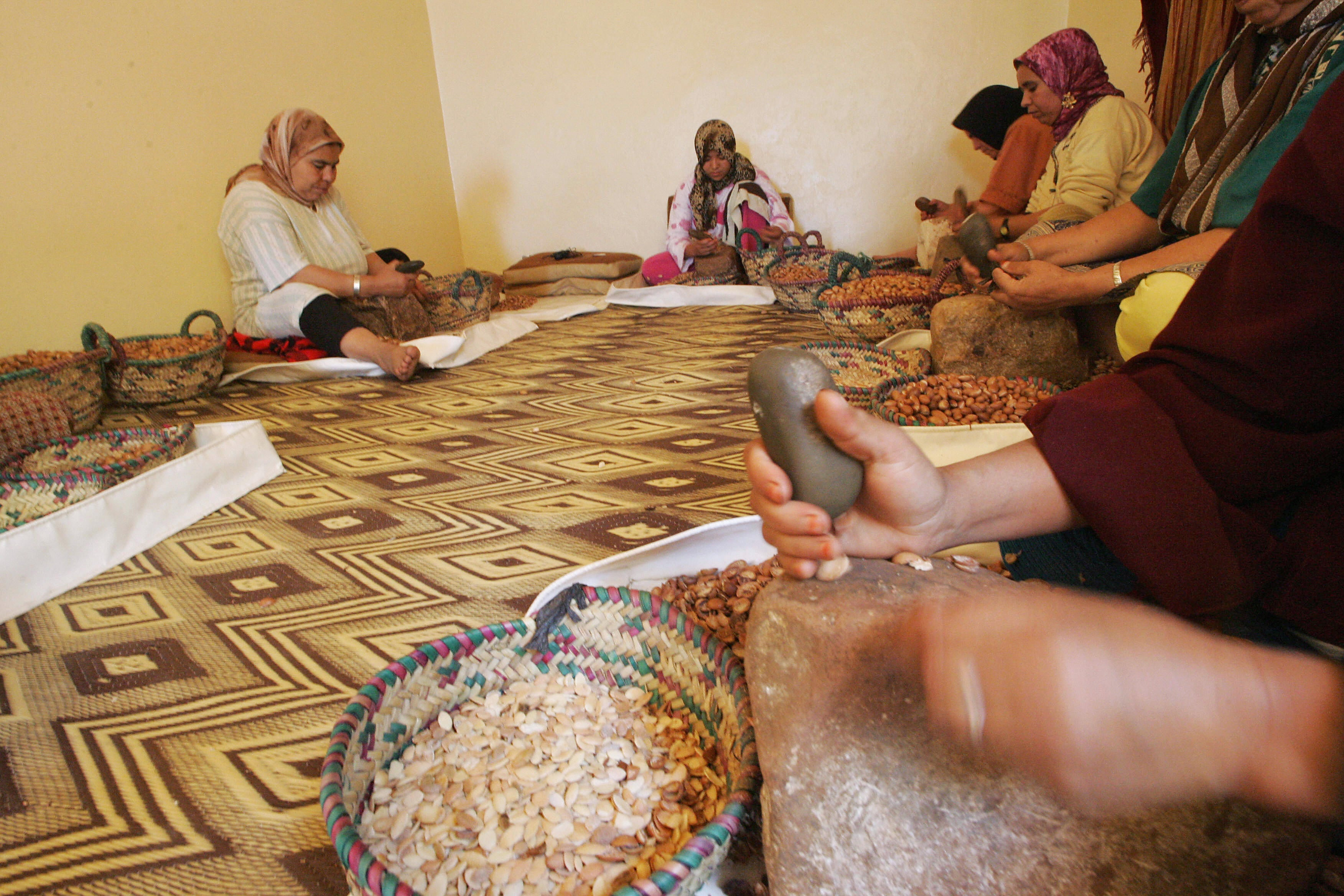 Argan oil cooperative