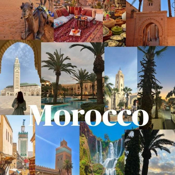 A serene date palm oasis in Morocco, with towering trees and a tranquil atmosphere
