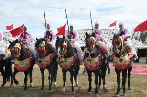 Fantasia horsemen in training, surrounded by cultural institution representatives