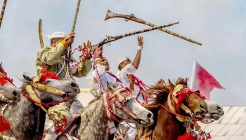 Fantasia horsemen, adorned in traditional attire, charge towards the audience