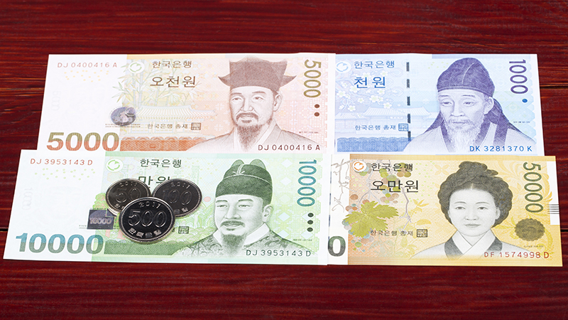 Moroccan Dirham Notes