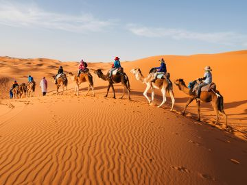 Camels and tourists in the Merzouga desert, surrounded by stunning sand dunes
