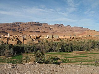 The Erfoud Fossil Museum, dedicated to preserving the region's geological and cultural heritage
